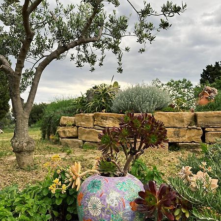 Istrian Green House Portorož Eksteriør bilde