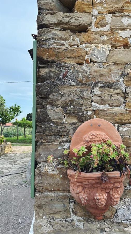 Istrian Green House Portorož Eksteriør bilde