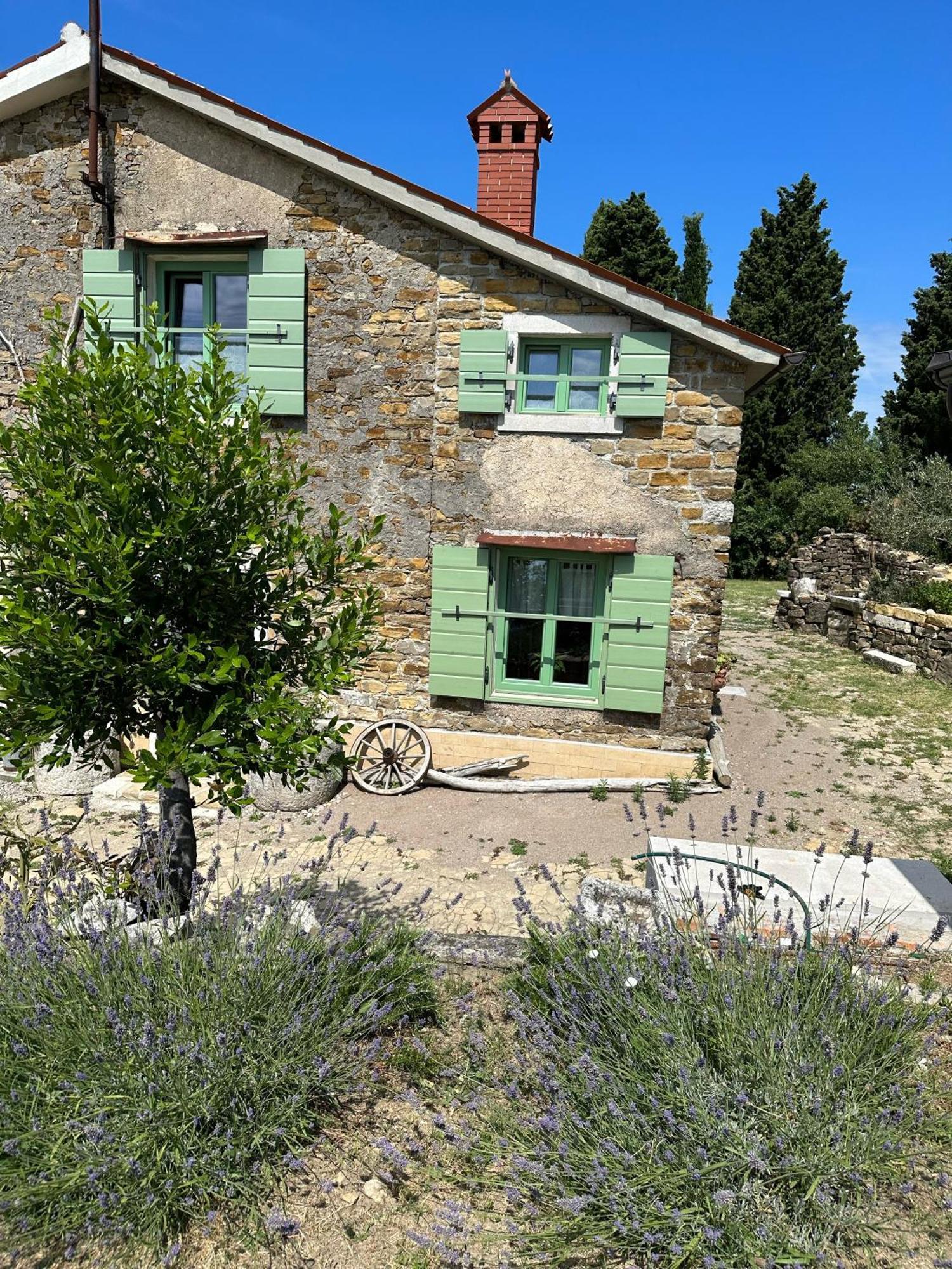 Istrian Green House Portorož Eksteriør bilde